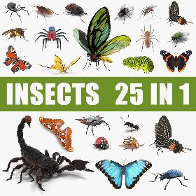Insects Big 3D Models Collection 3D model